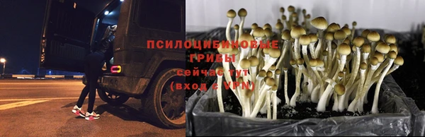 марихуана Лихославль