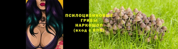 кристаллы Липки