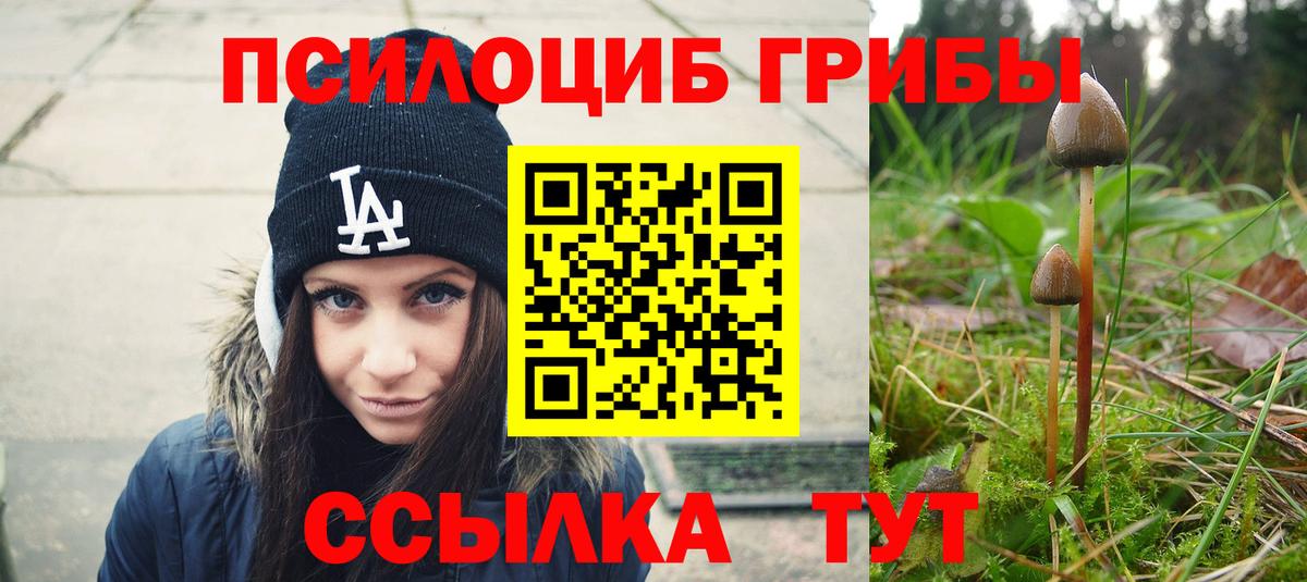 Галлюциногенные грибы мухоморы Тобольск