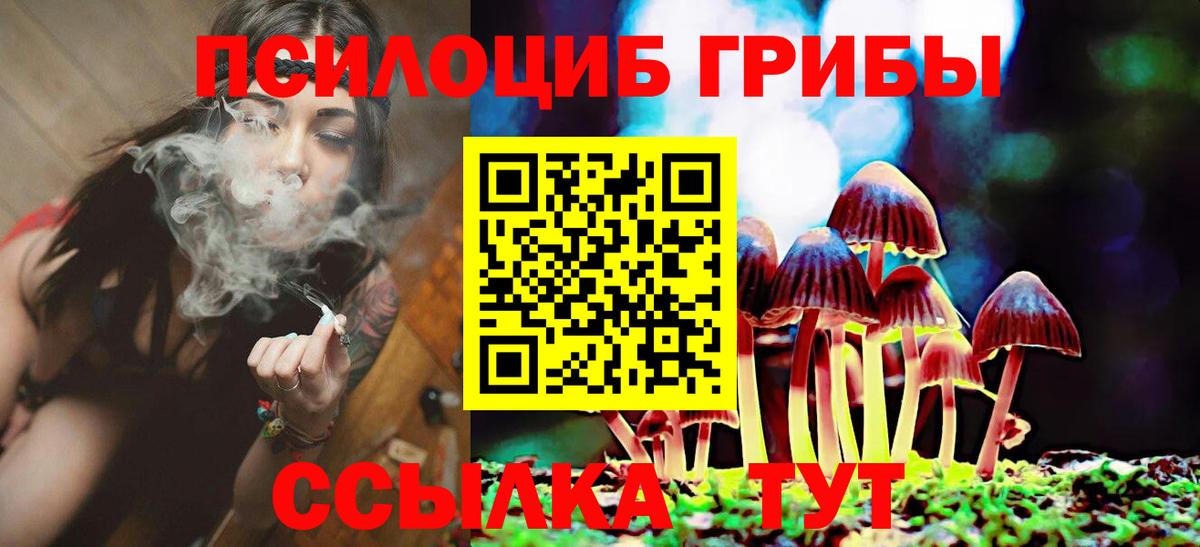 Галлюциногенные грибы прущие грибы  Вход с VPN  Тобольск 